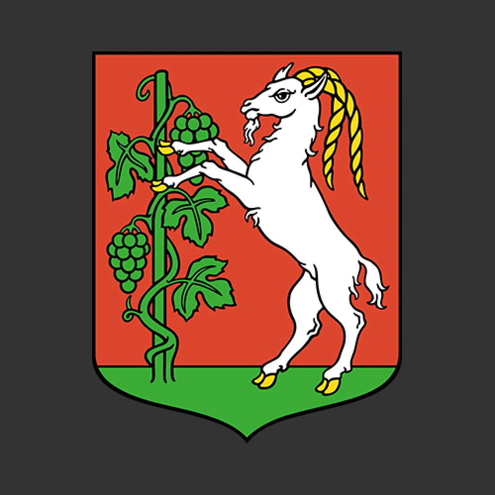 Pale CFA - Lublin