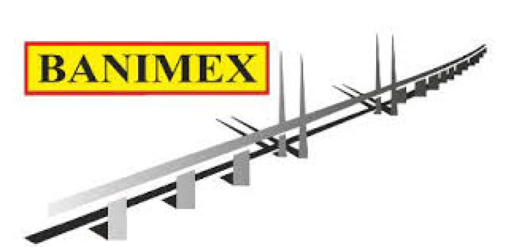 BANIMEX
